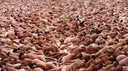 Spencer Tunick HQ 2