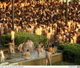 spencer tunick mixed 1