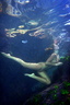 nude under water in colour 106