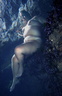 nude under water in colour 113