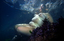 nude under water in colour 114