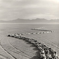 Nevada desert 1997