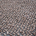 spencer tunick mexico high resolution 23