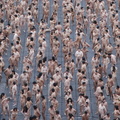spencer tunick mexico high resolution 26