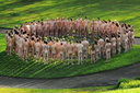 spencer tunick manchester 20100503 6