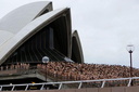 Spencer tunick Sydney Opera House 047