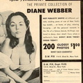 Diane Webber 131