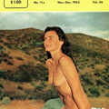 Nudists magazine covers 10
