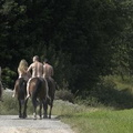 nude with horse 146