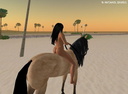 nude with horse 17