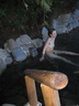nude skinny dipping 25