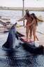 3 women and a dolphin