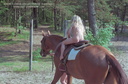 Horse riding gototheshow 3