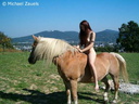 nude horse ride 22