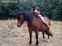 nude horse ride 5