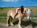 nude with horse 120