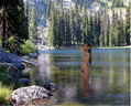 nudist adventures 63182168425 nuudman promoting total acceptance of our