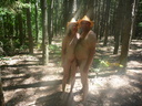 nudists nude naturists couple 0118