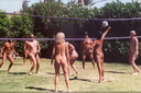 nudists beach groups 4