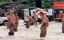 nudists group on beach 92