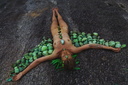 Nudists nude naturists tumblr 455