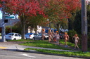 20101101 nude pumpkin runners 030