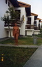 nude behind houses