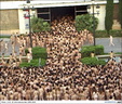 spencer tunick 2003 barcelona 10