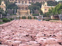 spencer tunick 2003 barcelona 122