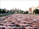 spencer tunick 2003 barcelona 123