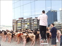 spencer tunick 2003 barcelona 134
