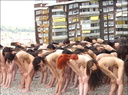 spencer tunick 2003 barcelona 137