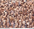 spencer tunick 2003 barcelona 14
