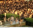 spencer tunick 2003 barcelona 17