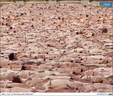 spencer tunick 2003 barcelona 20