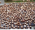 spencer tunick 2003 barcelona 21
