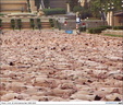 spencer tunick 2003 barcelona 28