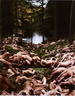 Milford2004