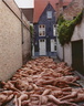 spencer tunick 2005 chocolat noir femmes 4