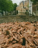 spencer tunick 2005 chocolat noir femmes 8
