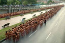 spencer tunick 2006 caracas venezuela 20