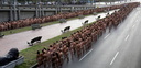 spencer tunick 2006 caracas venezuela 57