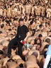 spencer tunick 2006 caracas venezuela 68