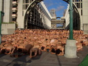 spencer tunick 2006 caracas venezuela 70