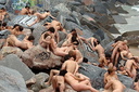 spencer tunick 2006 san sebastian 1