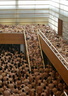 spencer tunick 2006 san sebastian 19