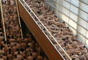spencer tunick 2006 san sebastian 2