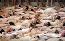 spencer tunick 2006 san sebastian 21