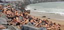 spencer tunick 2006 san sebastian 23
