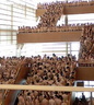 spencer tunick 2006 san sebastian 27